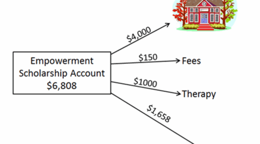 Example of fund allocation in an Empowerment Scholarship Account