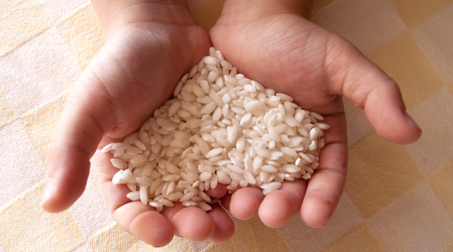Hands_Rice