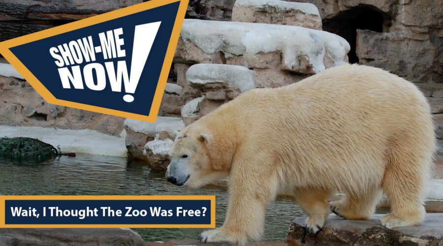 Wait . . . I Thought the Zoo Was Free