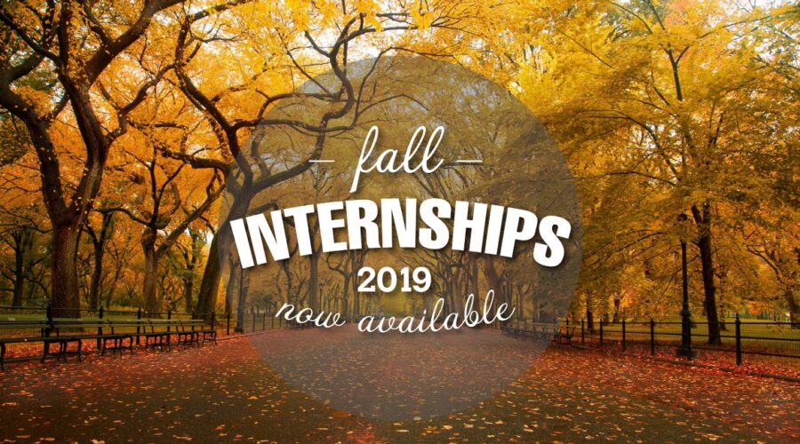 2019 Fall Internship banner
