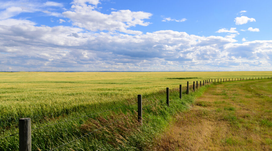 Prairie landscape