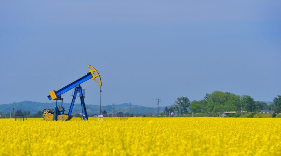 Biodiesel production