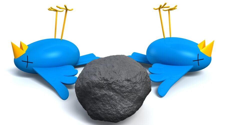 Two dead birds killed by a stone