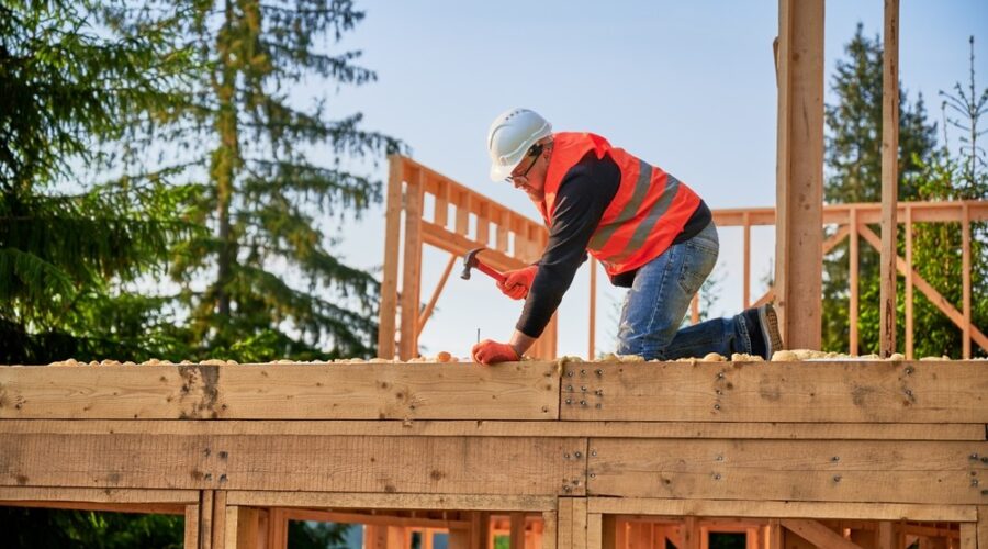 Housing construction, regulation, tax credits, economic development policy, housing code