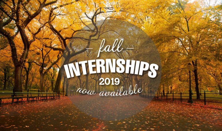 2019 Fall Internship banner