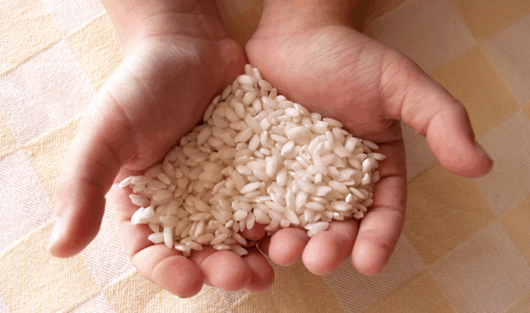 Hands_Rice