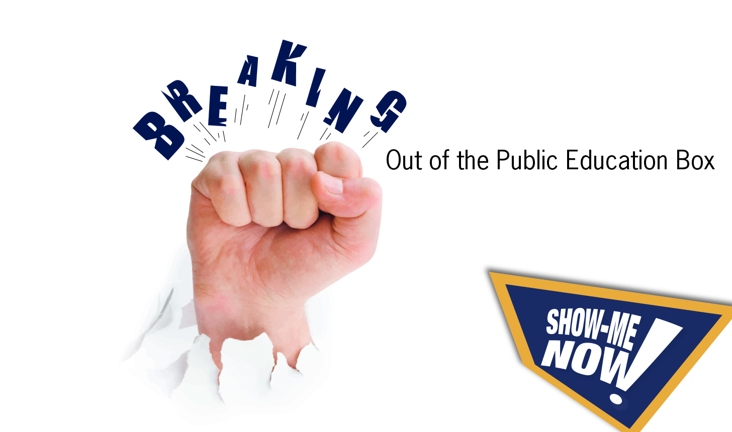 Breaking Out of the Public Education Box