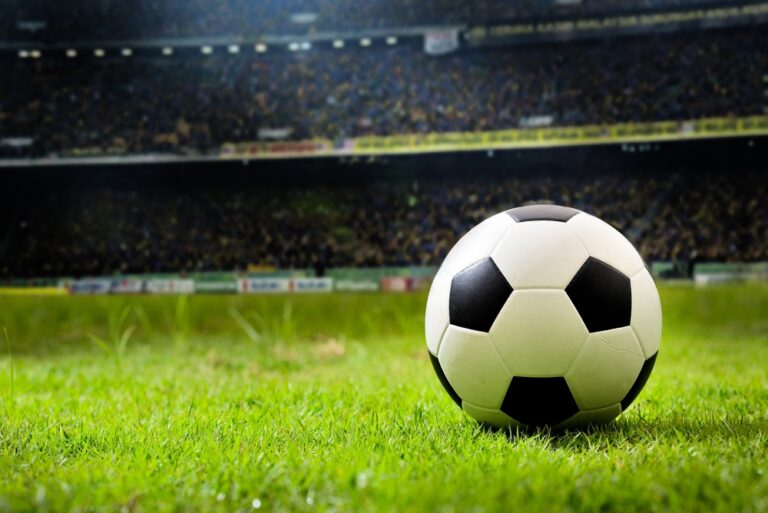 Soccer ball in grass