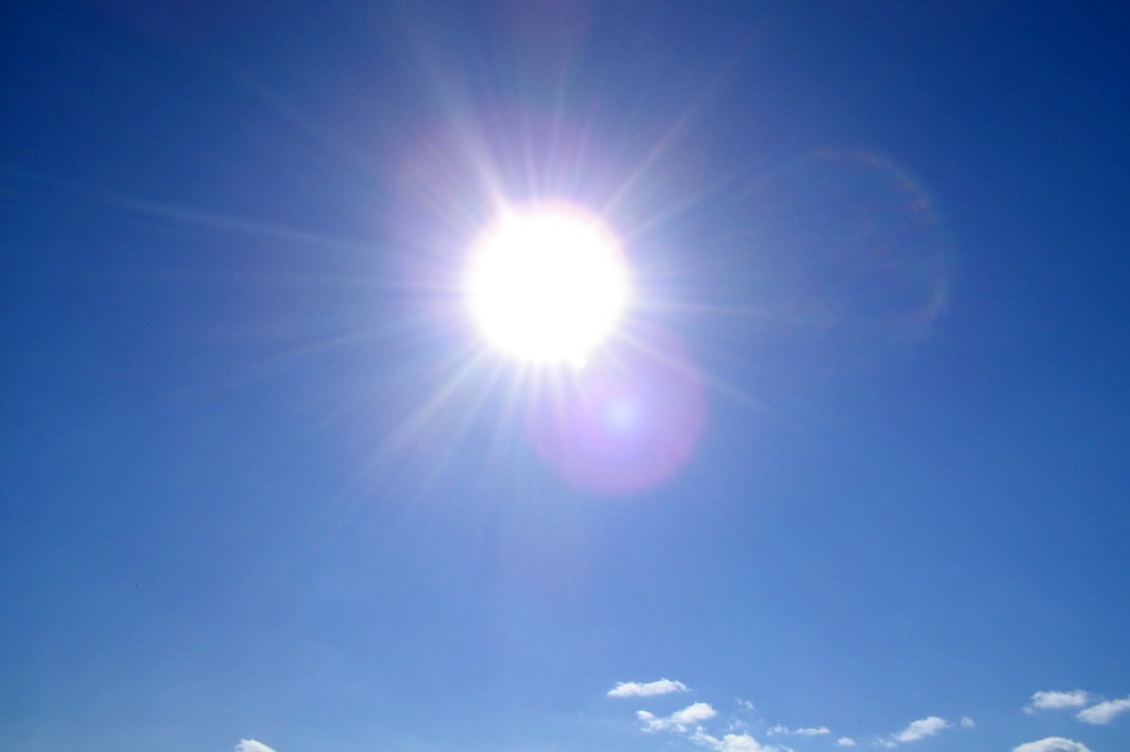 How Easy Is It to Get a Sunshine Request Fulfilled? It Depends.