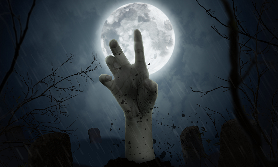 Film Tax Credits: The Campy-est Zombie Movie You Ever Did See