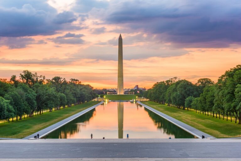 Washington Monument, buses, transportation policy, D.C. bus service, WMATA