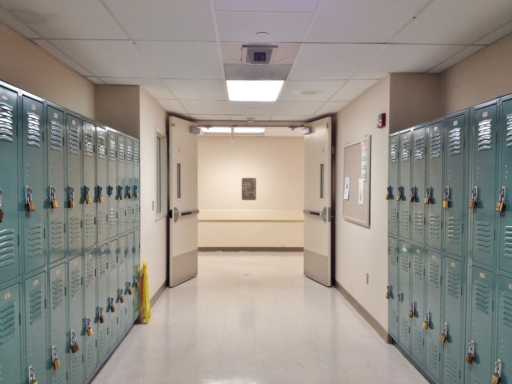 Social-Emotional Learning Standards: Under What Authority?