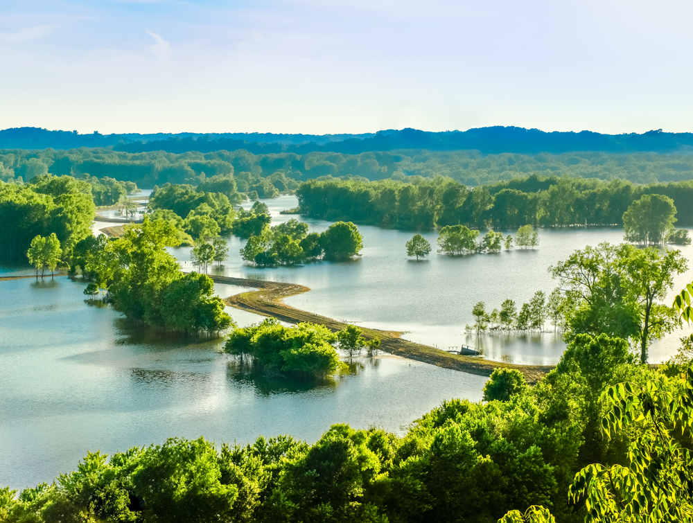 A Win for Economic Development Sanity