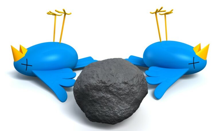 Two dead birds killed by a stone