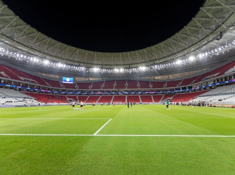 Kansas City, World Cup, soccer, sports subsidies