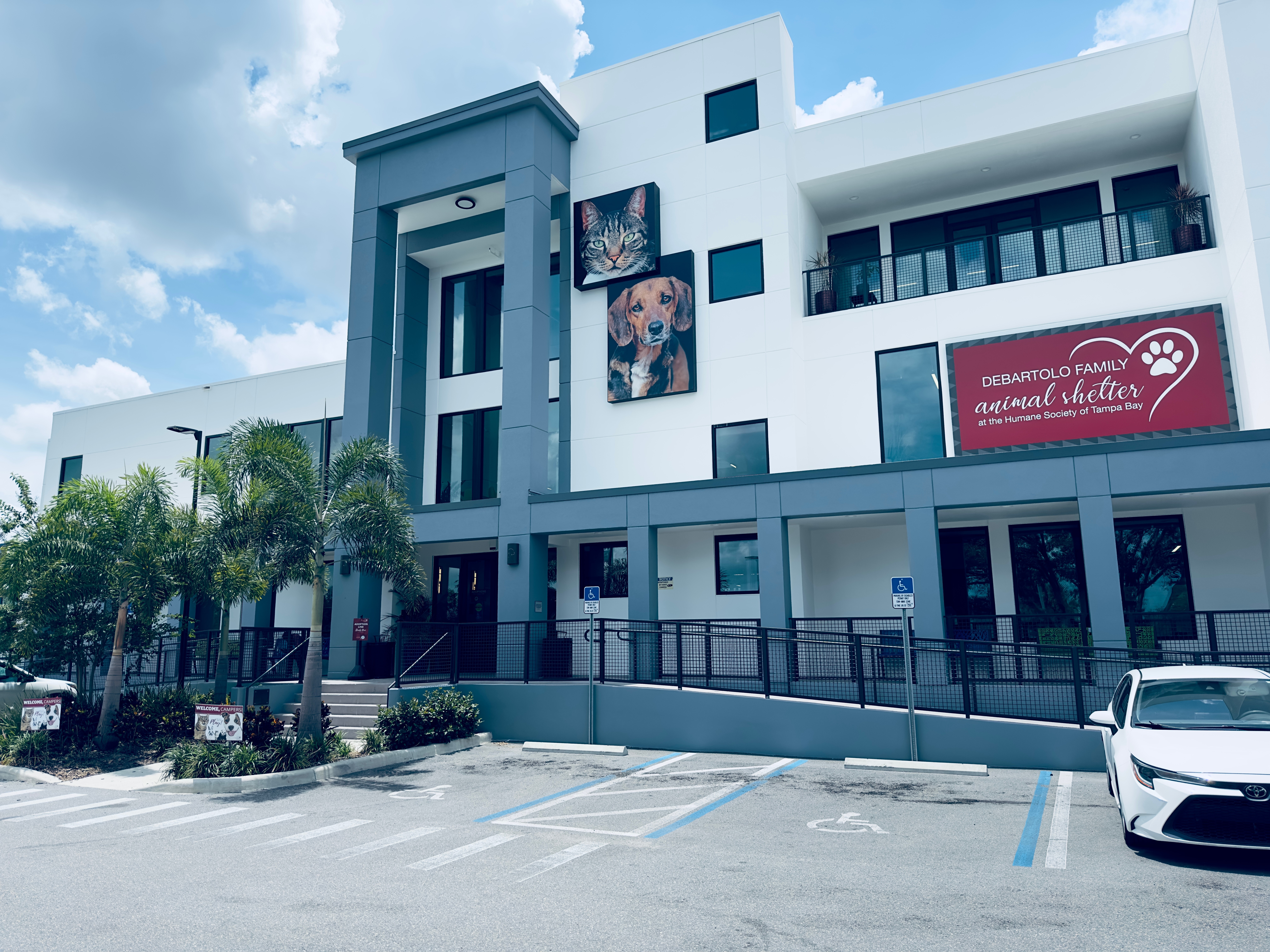 St. Louis County is Right to Be Concerned about Volunteers at the Animal Shelter