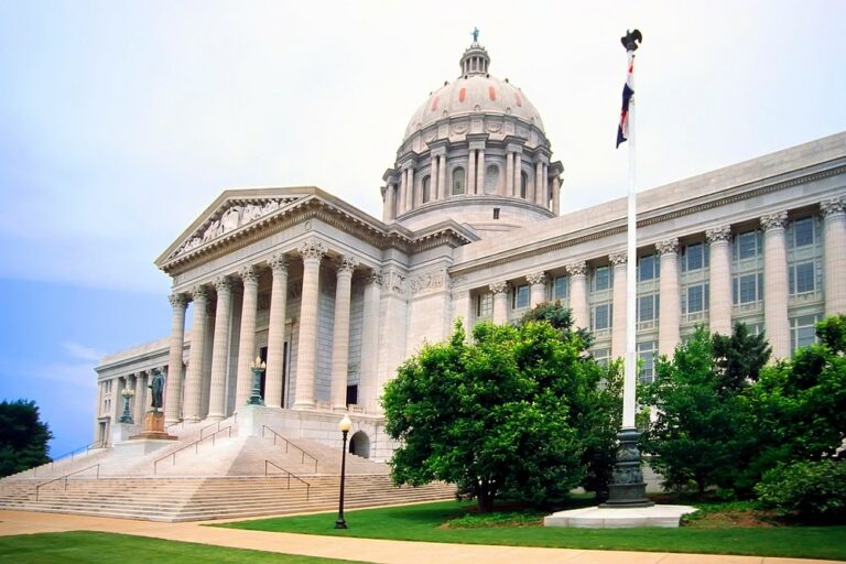 DOGE, MIssouri MOGE, spending cuts, government efficiency, Show-Me DOGE