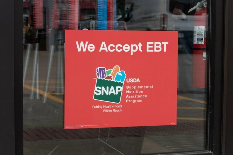 SNAP benefits, food stamps, the OBBB, SNAP error rate, state welfare programs