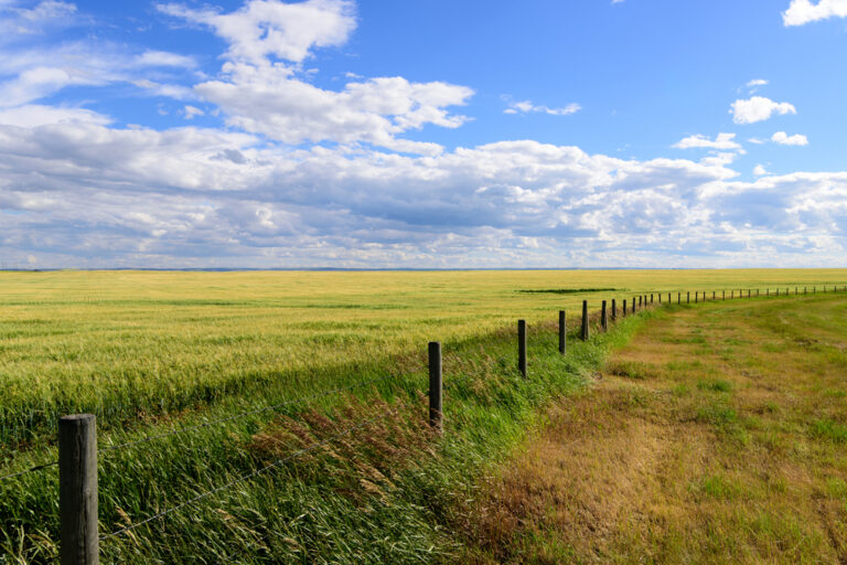 Prairie landscape