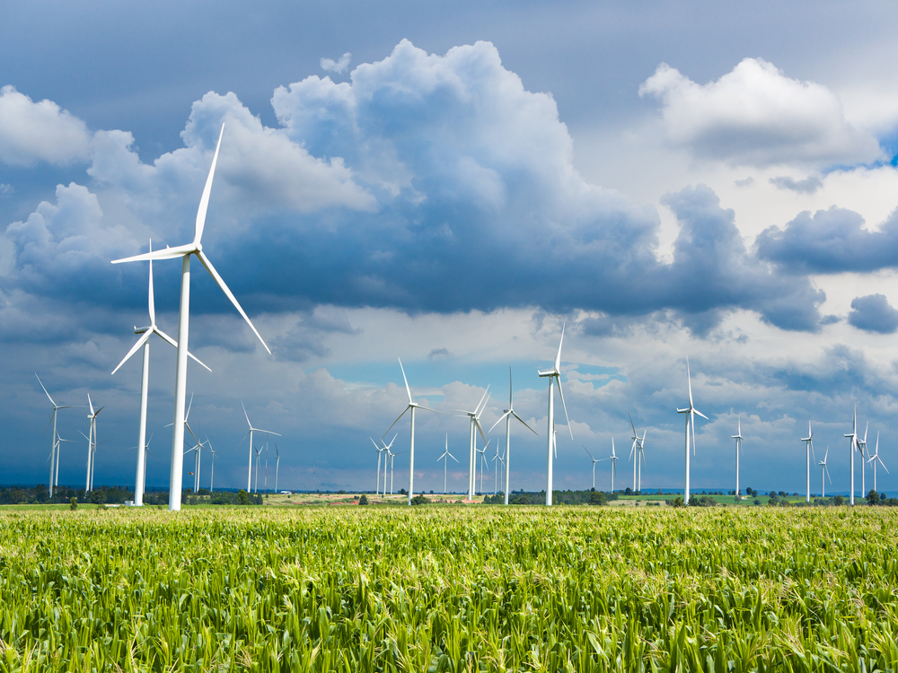 It’s All About the Tax Credits, Baby