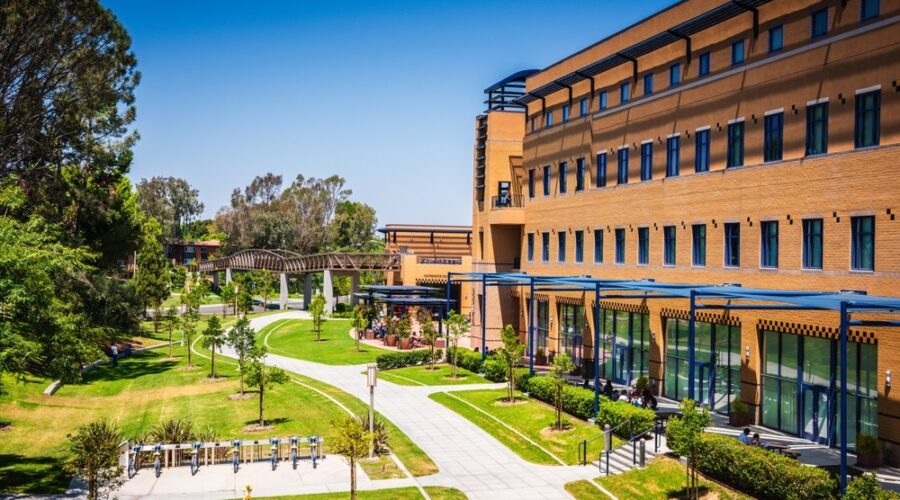 College campus, meritocracy, math achievement, UCSD, educational excellence