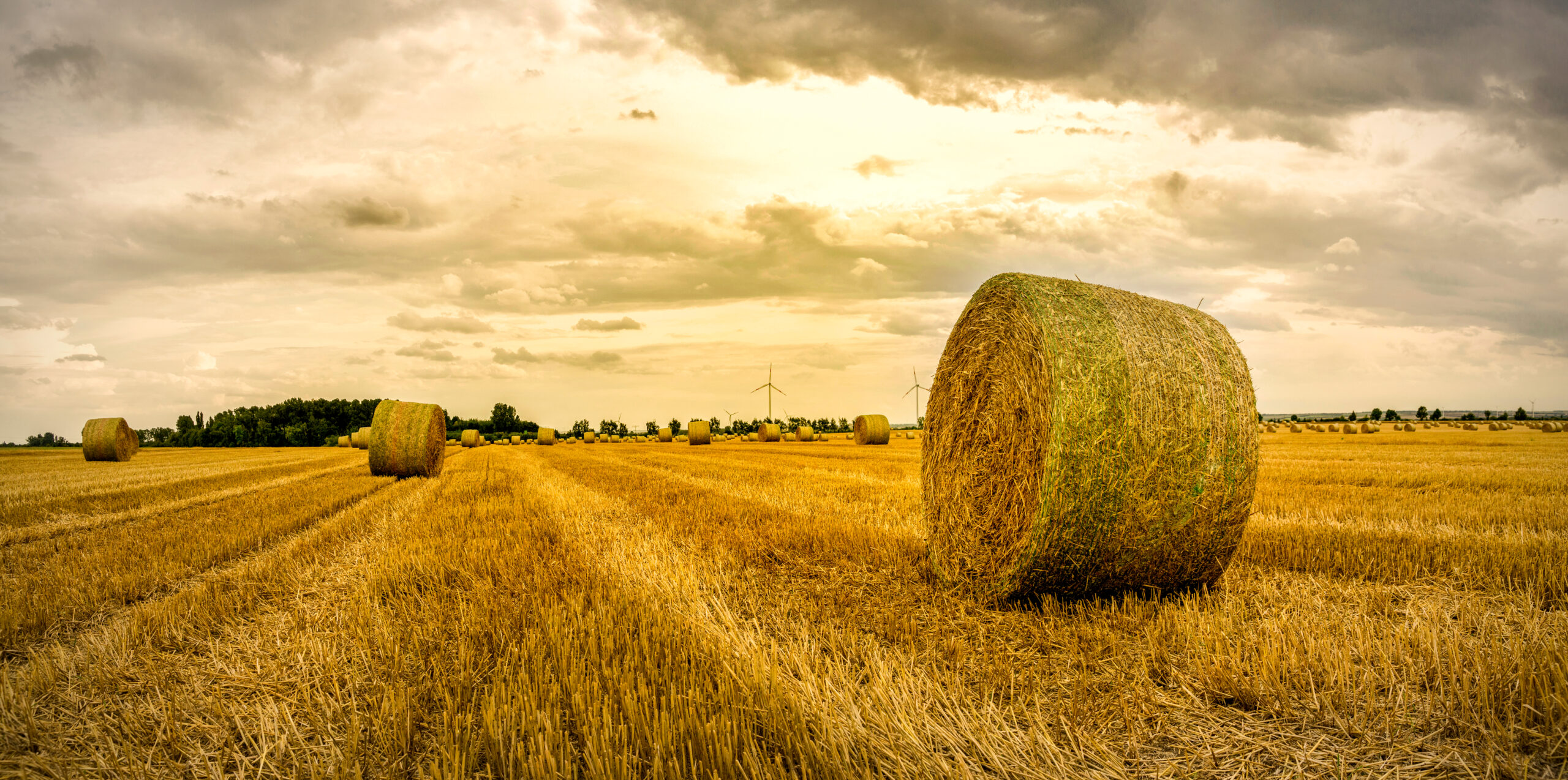 Charter Schools Can Exist in Rural Areas, Too