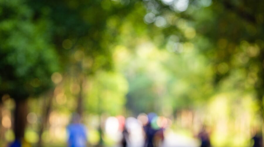 A Free-Market Guide for Missouri Municipalities Part Four: Parks and Recreation