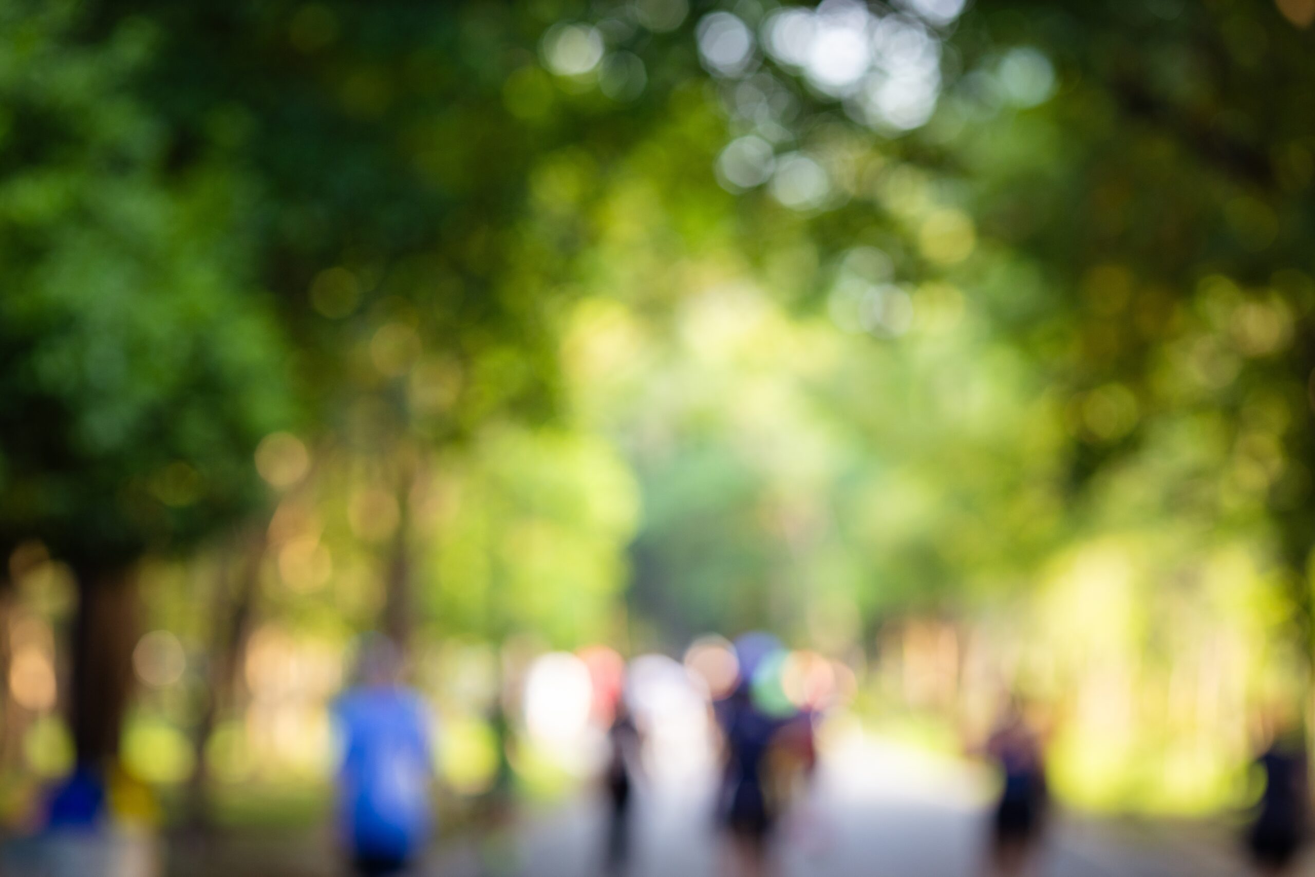 A Free-Market Guide for Missouri Municipalities Part Four: Parks and Recreation