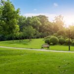 Public park, user fees, park fees, St. Louis County parks, Sam Page