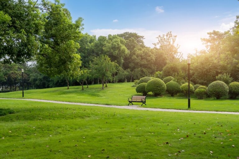 Public park, user fees, park fees, St. Louis County parks, Sam Page