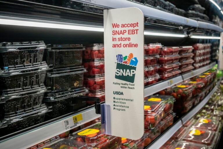 SNAP, OBBB, Missouri welfare