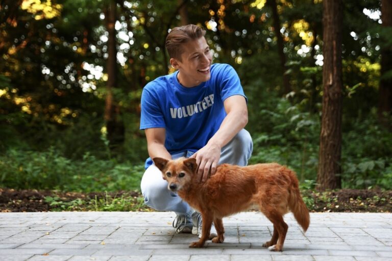 Animal shelter volunteer